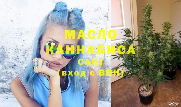 гашик Бородино