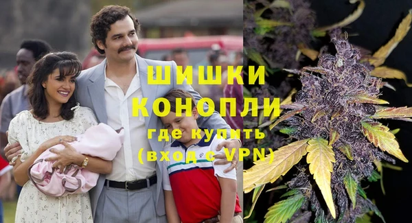 гашик Бородино