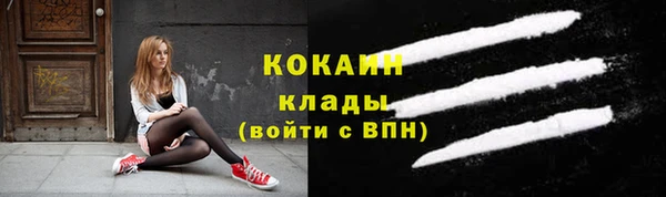 сатива Богданович
