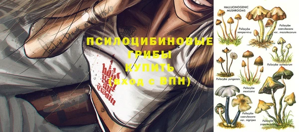 PSILOCYBIN Бугульма
