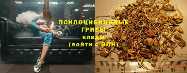 гашик Бородино