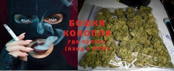 PSILOCYBIN Бугульма
