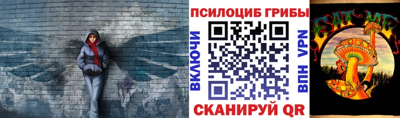Галлюциногенные грибы Psilocybine cubensis  Няндома 